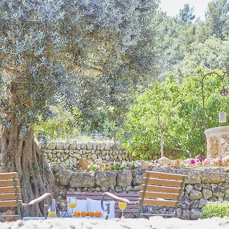 Hotel Rural S'olivaret & Alaró