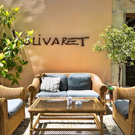 Rural S'olivaret & Alaró