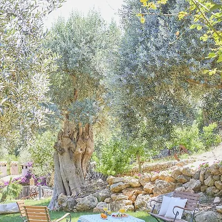 Rural S'olivaret & 4* Alaró